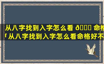 从八字找到入字怎么看 🐞 命格「从八字找到入字怎么看命格好不好」